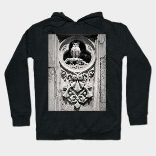 The Sentinel Hoodie